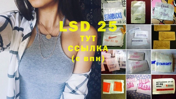 PSILOCYBIN Елизово