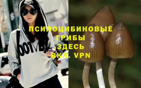 прущая мука Ельня