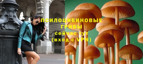 PSILOCYBIN Елизово